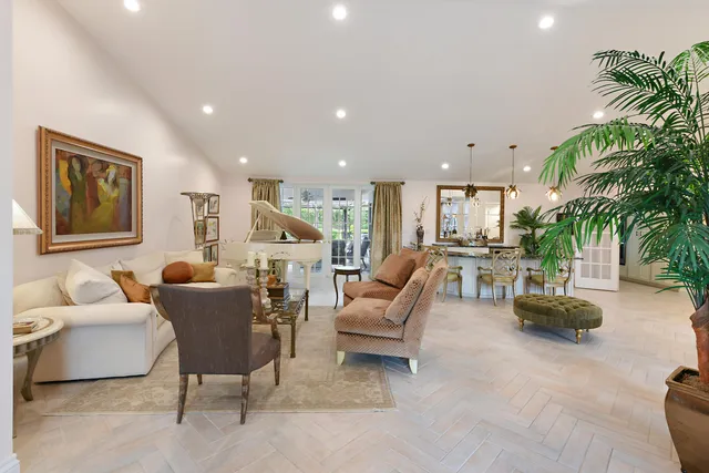 a living room with furniture and a potted plant