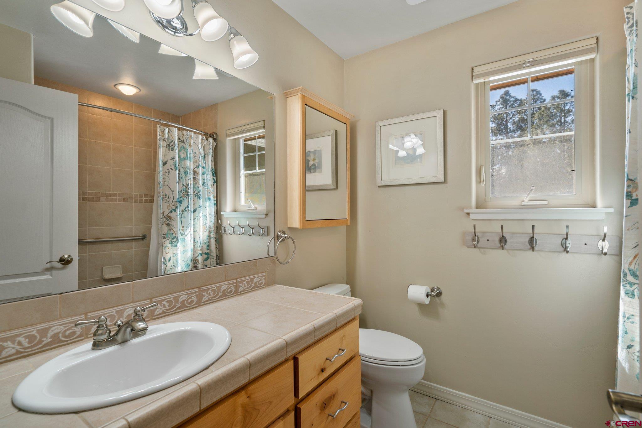 6072 County Road 240 Durango, CO 81301 - Photo 23 of 35 a bathroom with a toilet sink and mirror