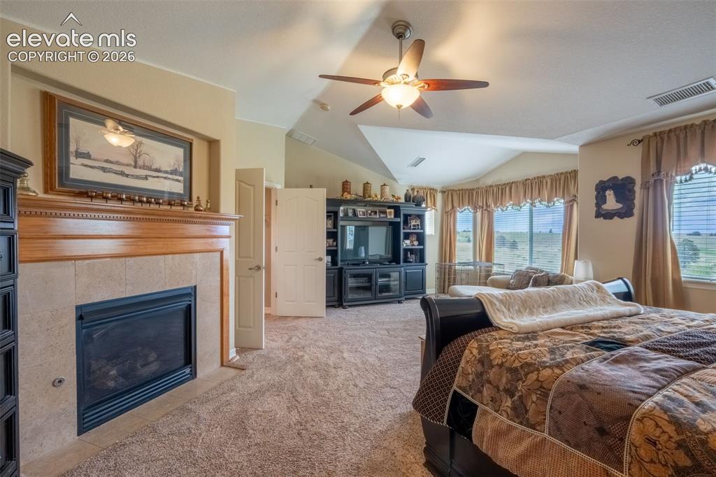 2385 Antelope Ridge Trail Parker, CO 80138 - Photo 30 of 47 MAIN BEDROOM WITH FIREPLACE