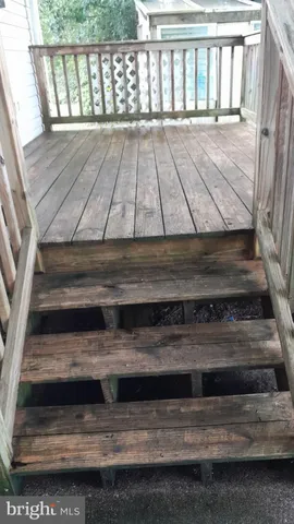 a view of a backyard with plants and a bench