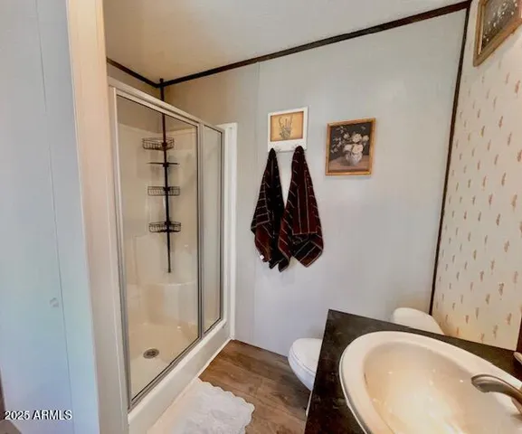 a bathroom with a shower and a toilet