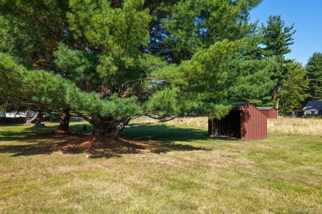 a view of a swimming pool with an outdoor space