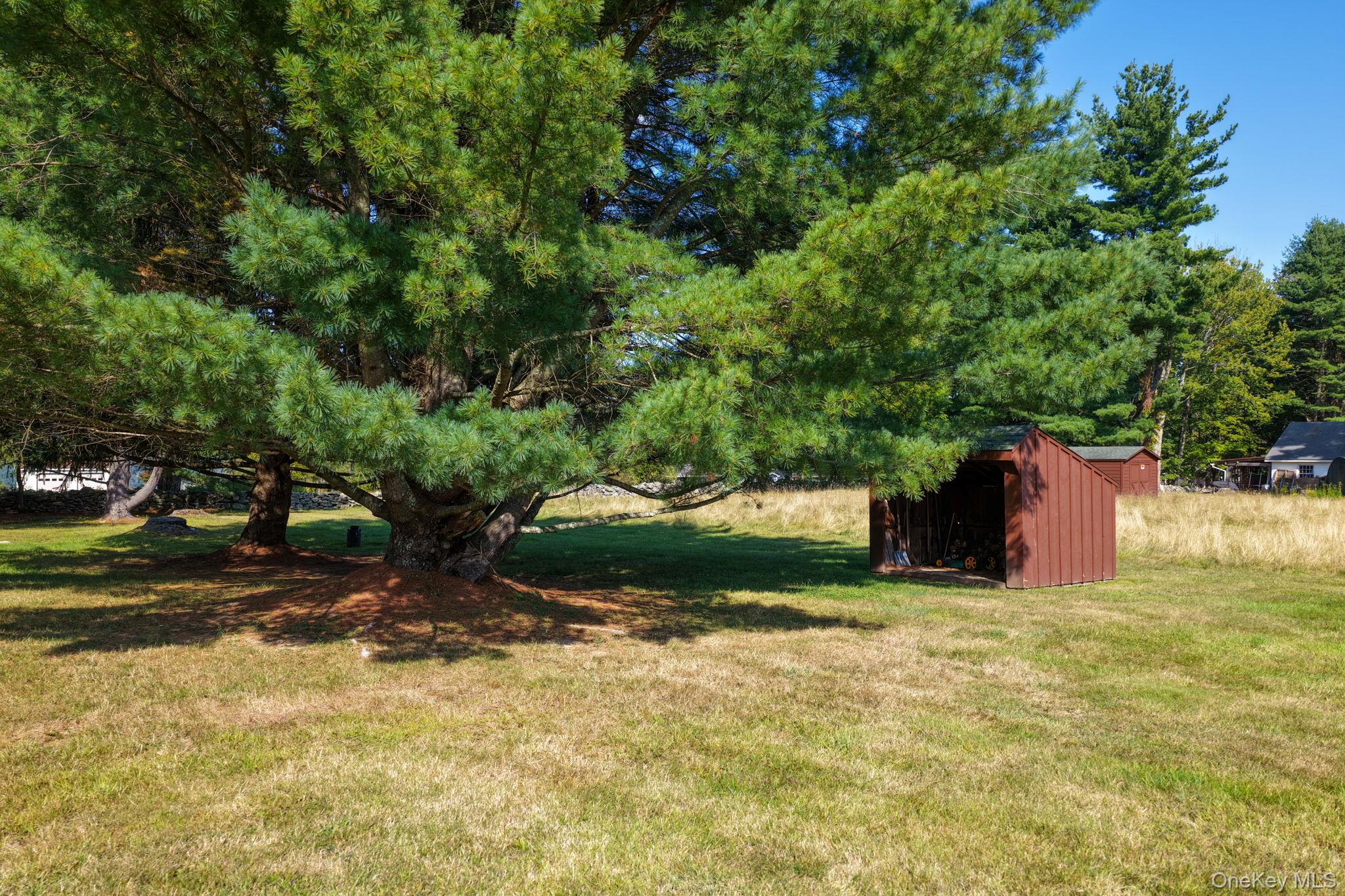 128 Hall Road Grahamsville, NY 12740 - Photo 29 of 34 a view of a outdoor space with a house