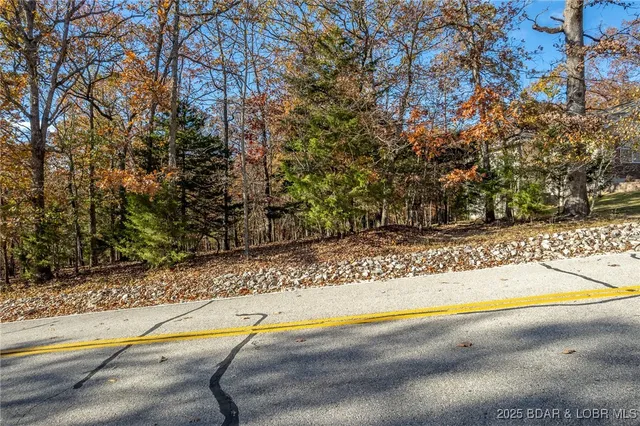 $25,000 | Four Ridge Road, Four Seasons, MO 65049