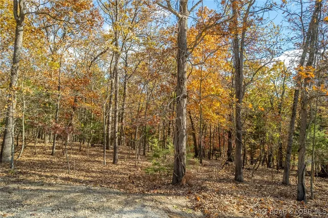 $25,000 | Four Ridge Road, Four Seasons, MO 65049