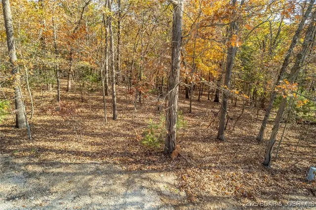 $25,000 | Four Ridge Road, Four Seasons, MO 65049