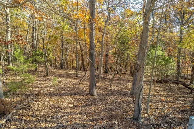 $25,000 | Four Ridge Road, Four Seasons, MO 65049