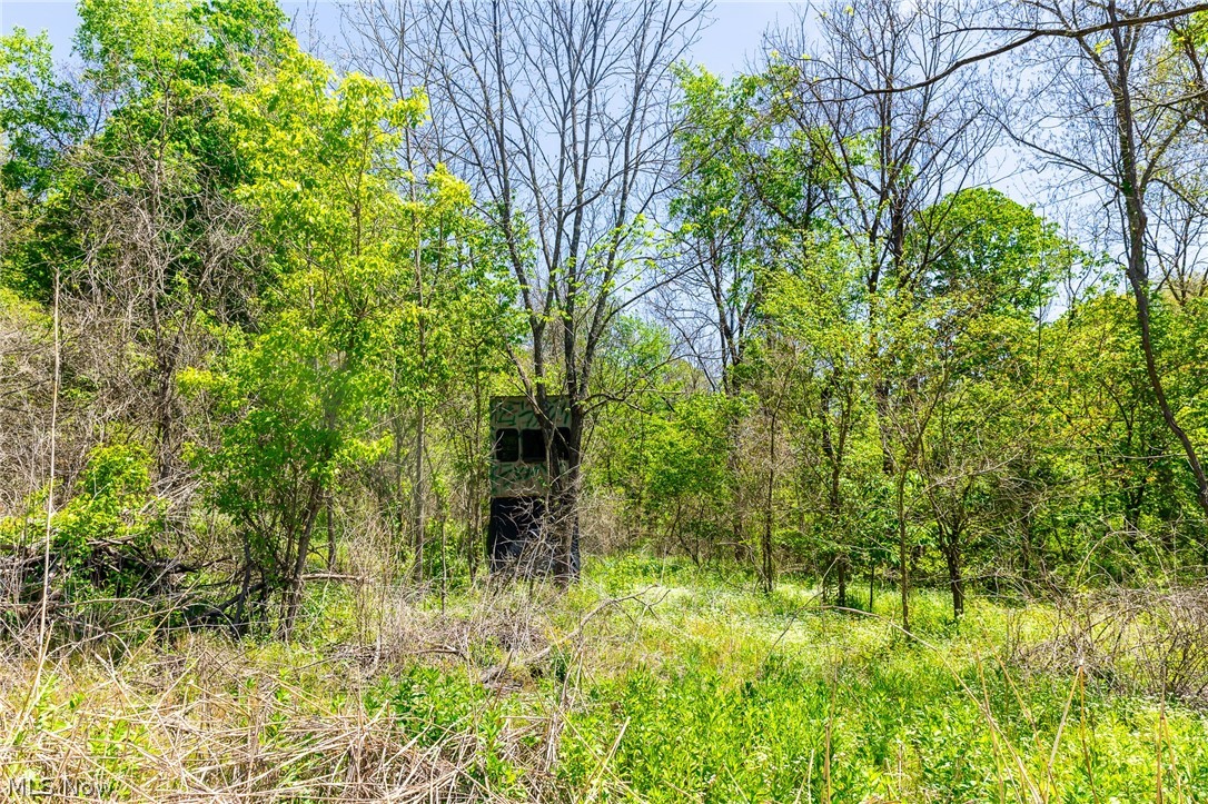 37500 Goose Run Road Dexter City, OH 45727 - Photo 43 of 50