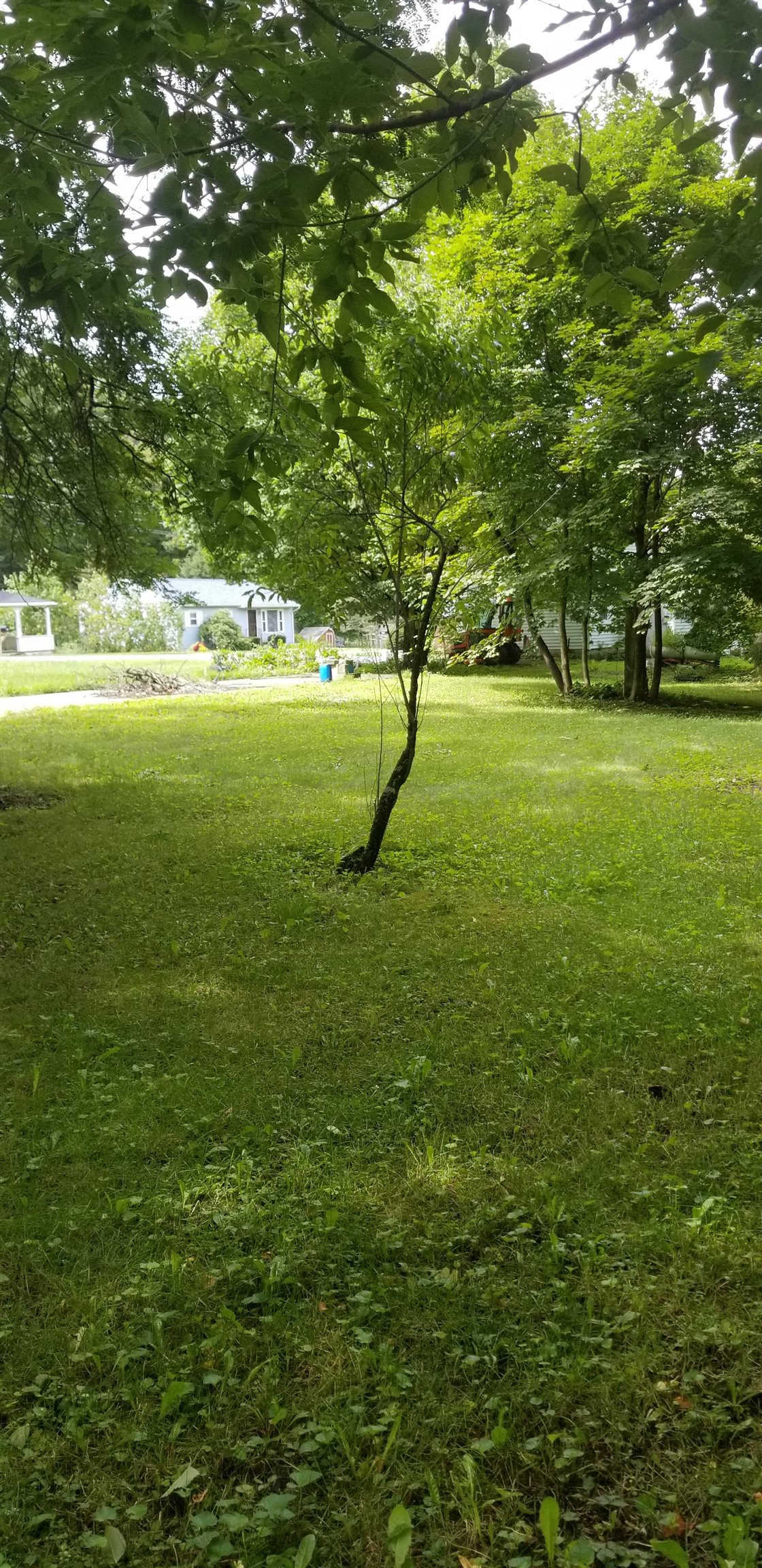 420 Burgess Road Bennington, VT 05201 - Photo 6 of 8 Gallery Image 6