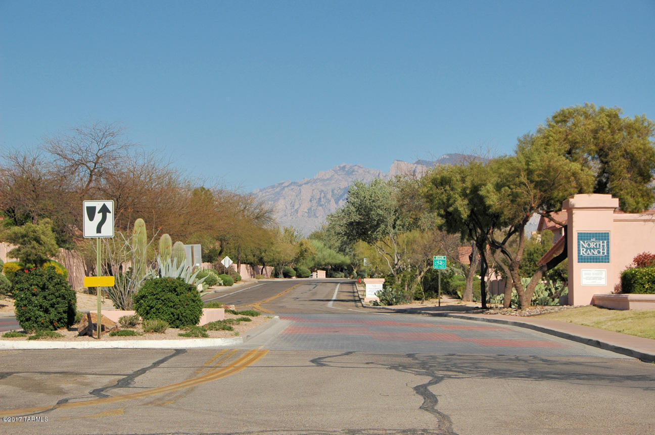 3537 West Sky Ridge Loop Tucson, AZ 85742 - Photo 23 of 24