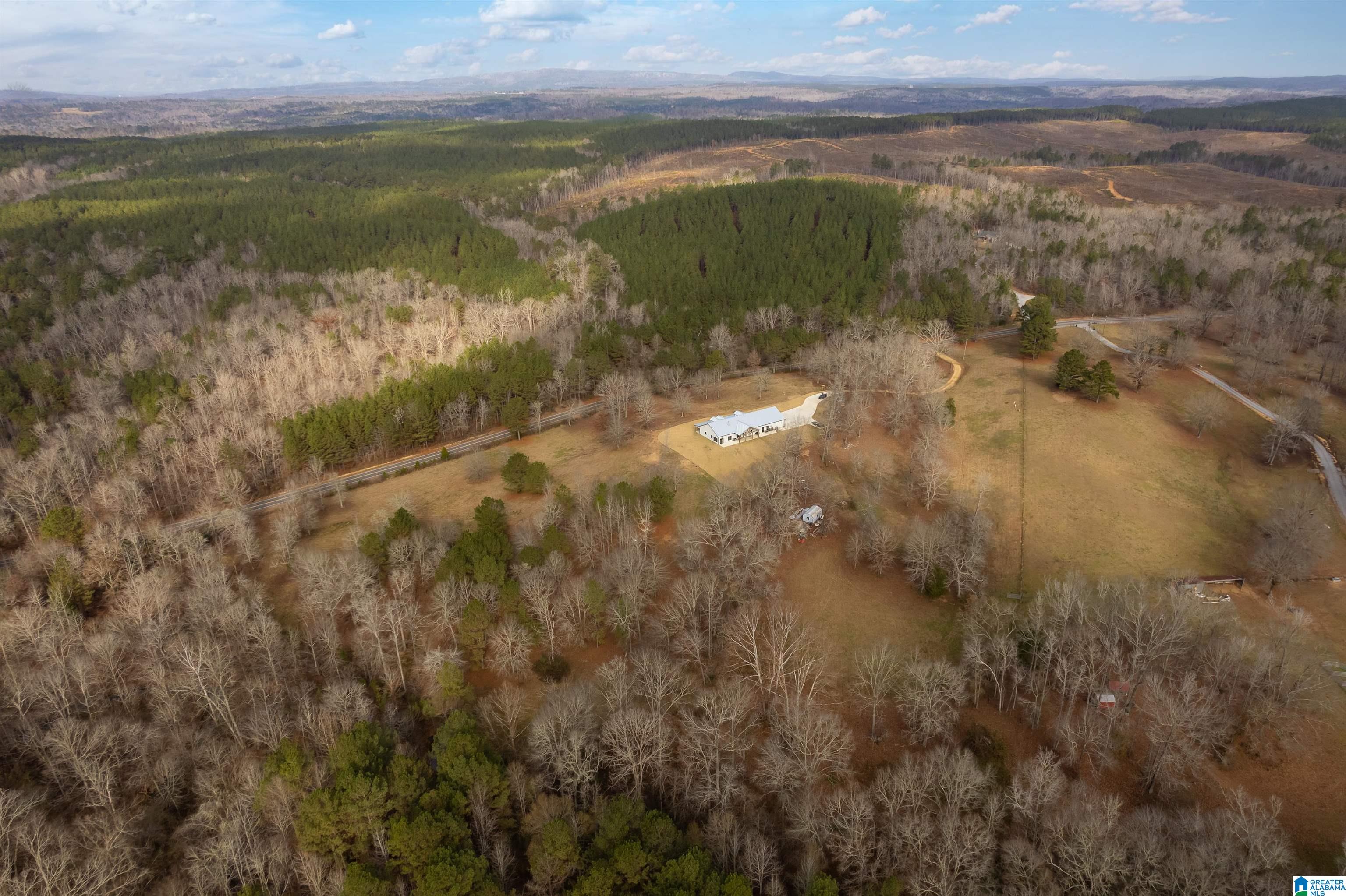 674 Dry Creek Road Cropwell, AL 35054 - Photo 43 of 49