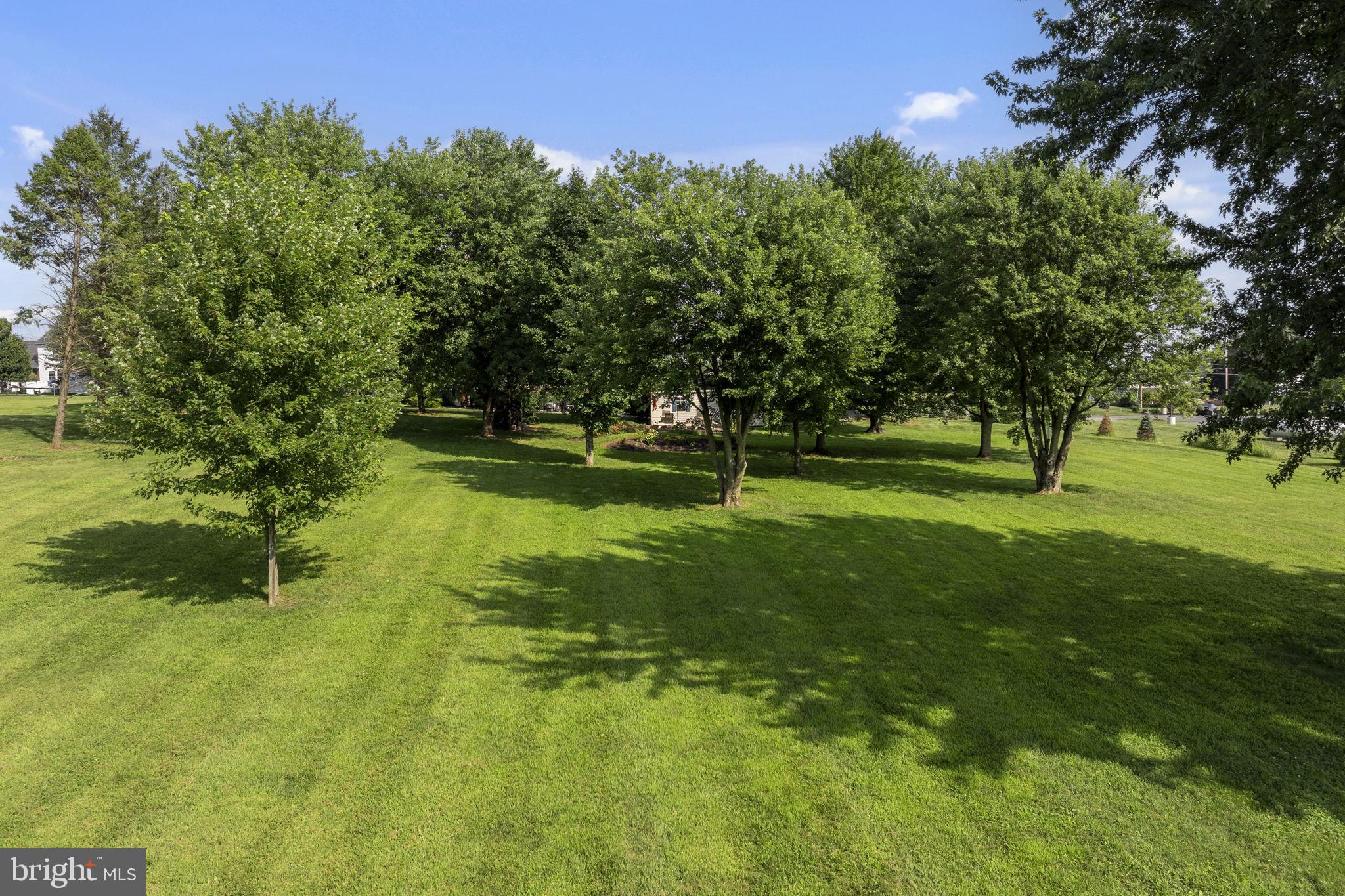 105 Whitehall Road Reinholds, PA 17569 - Photo 37 of 86