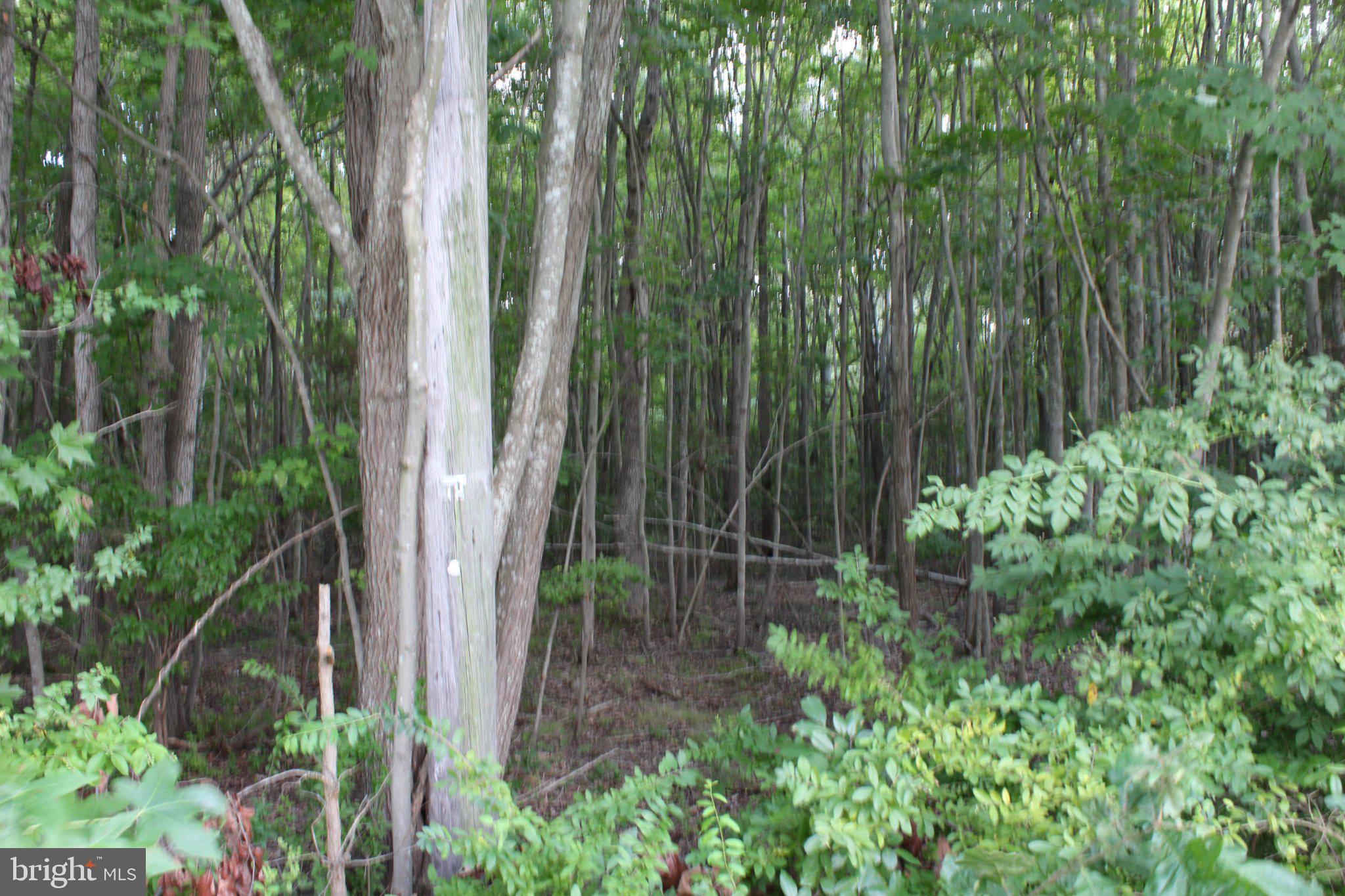 1495 Cedarhurst Road Shady Side, MD 20764 - Photo 18 of 36 View of property 3