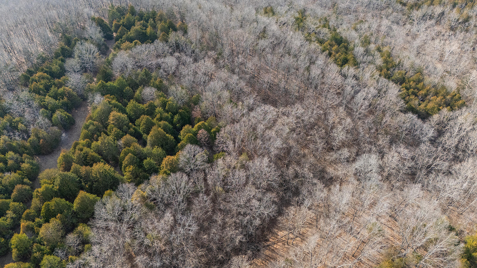 0 Abadyl Road Fordland, MO 65652 - Photo 23 of 25 DJI_20260303153412_0037_D