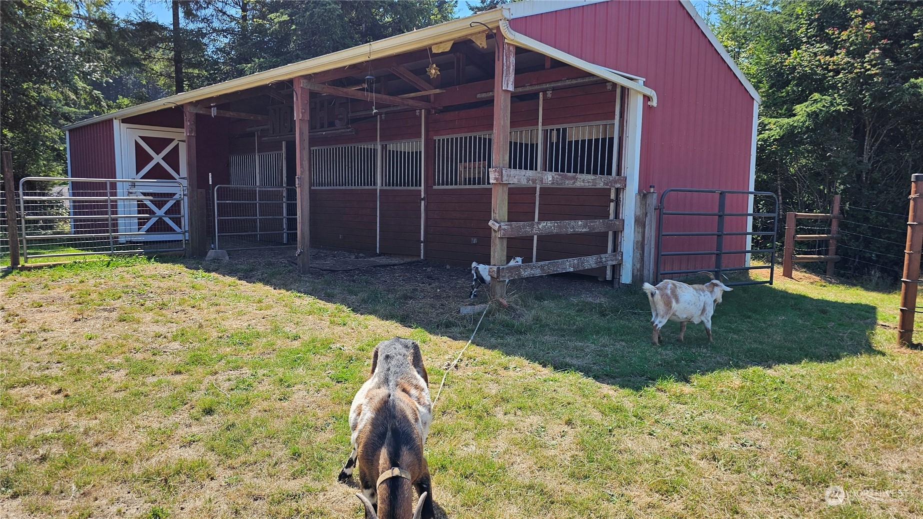 81 Larson Brothers Road Hoquiam, WA 98550 - Photo 23 of 32 Gallery Image 23