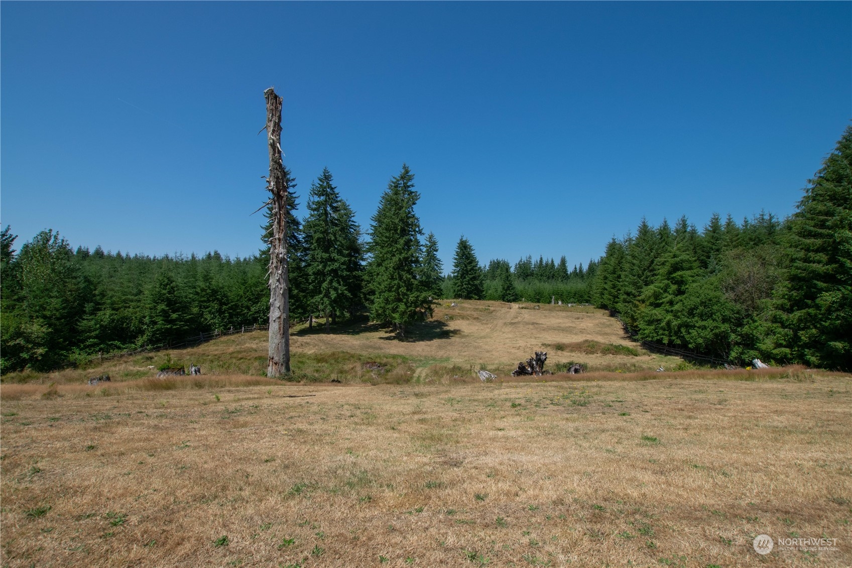 81 Larson Brothers Road Hoquiam, WA 98550 - Photo 30 of 32 Gallery Image 30