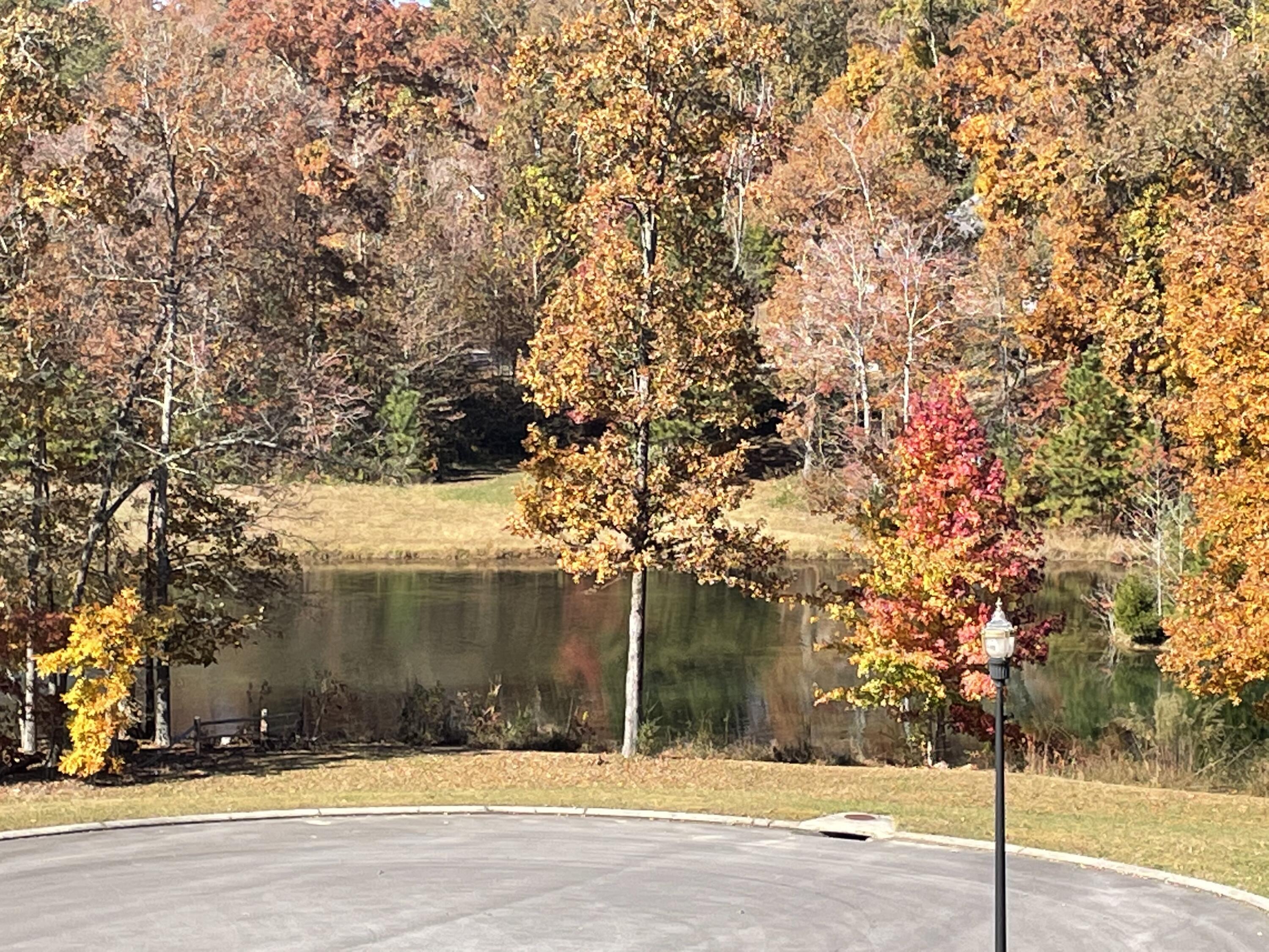 210 Old Pond Road Southeast Cleveland, TN 37323 - Photo 10 of 80 Front Porch View #2