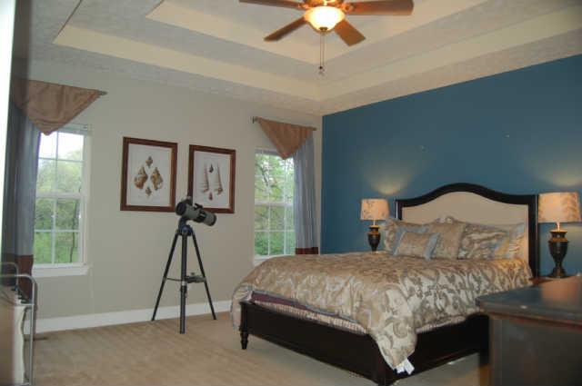 917 Morning Road Antioch, TN 37013 - Photo 7 of 14 Master suite with trey ceiling