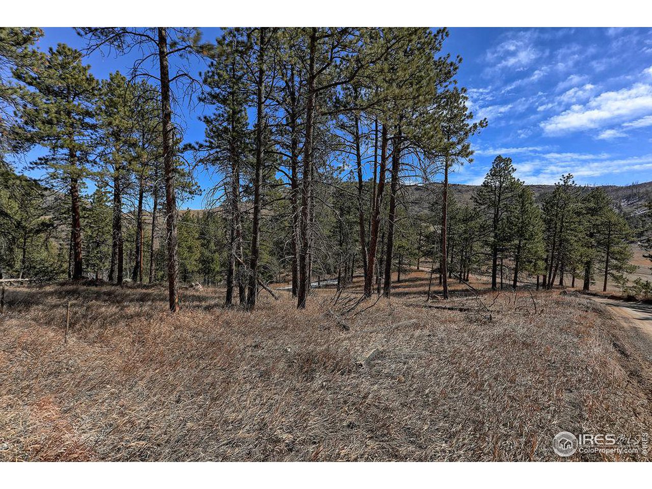 1033 Davis Ranch Road Bellvue, CO 80512 - Photo 1 of 25 West edge of property looking east