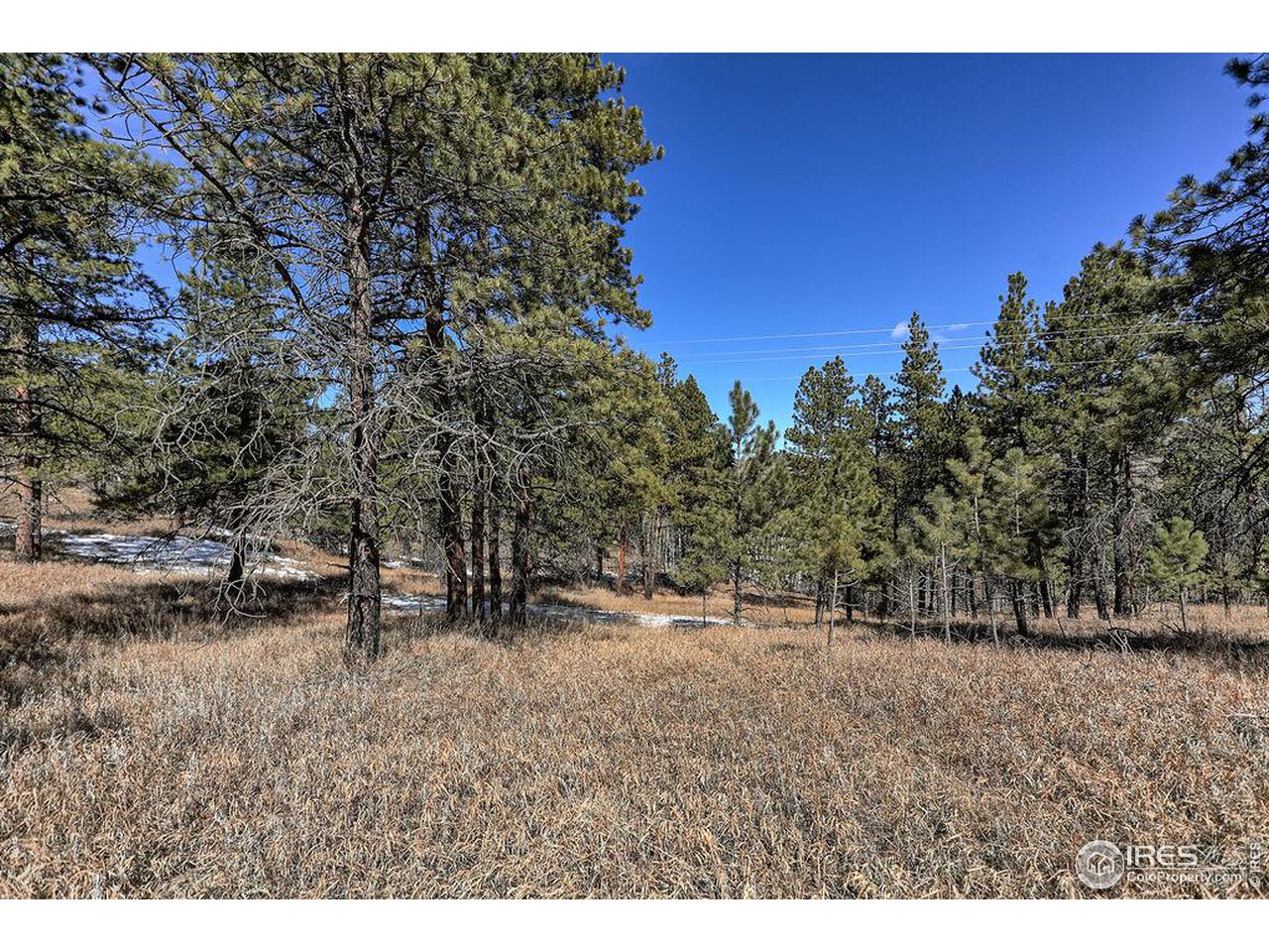 1033 Davis Ranch Road Bellvue, CO 80512 - Photo 12 of 25 Usable land