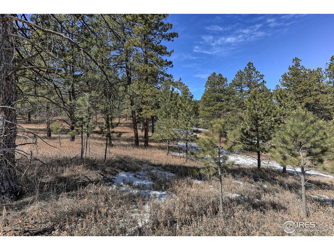 1033 Davis Ranch Road Bellvue, CO 80512 - Photo 13 of 25 Pine & Spruce