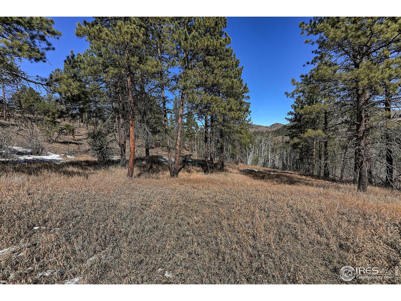 1033 Davis Ranch Road Bellvue, CO 80512 - Photo 15 of 25 Looking North
