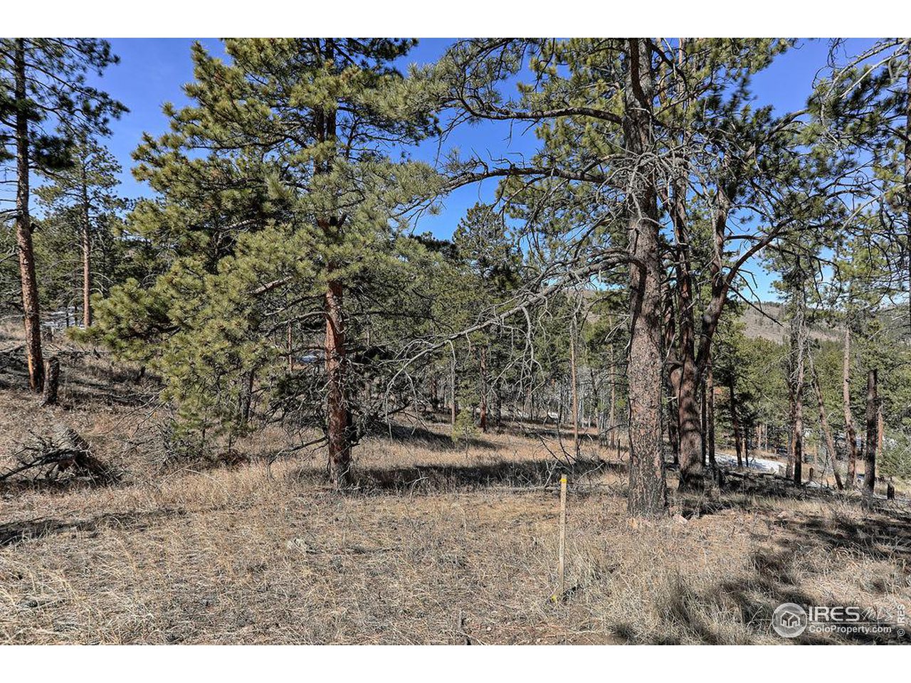1033 Davis Ranch Road Bellvue, CO 80512 - Photo 16 of 25 The home site is on the Eastern portion