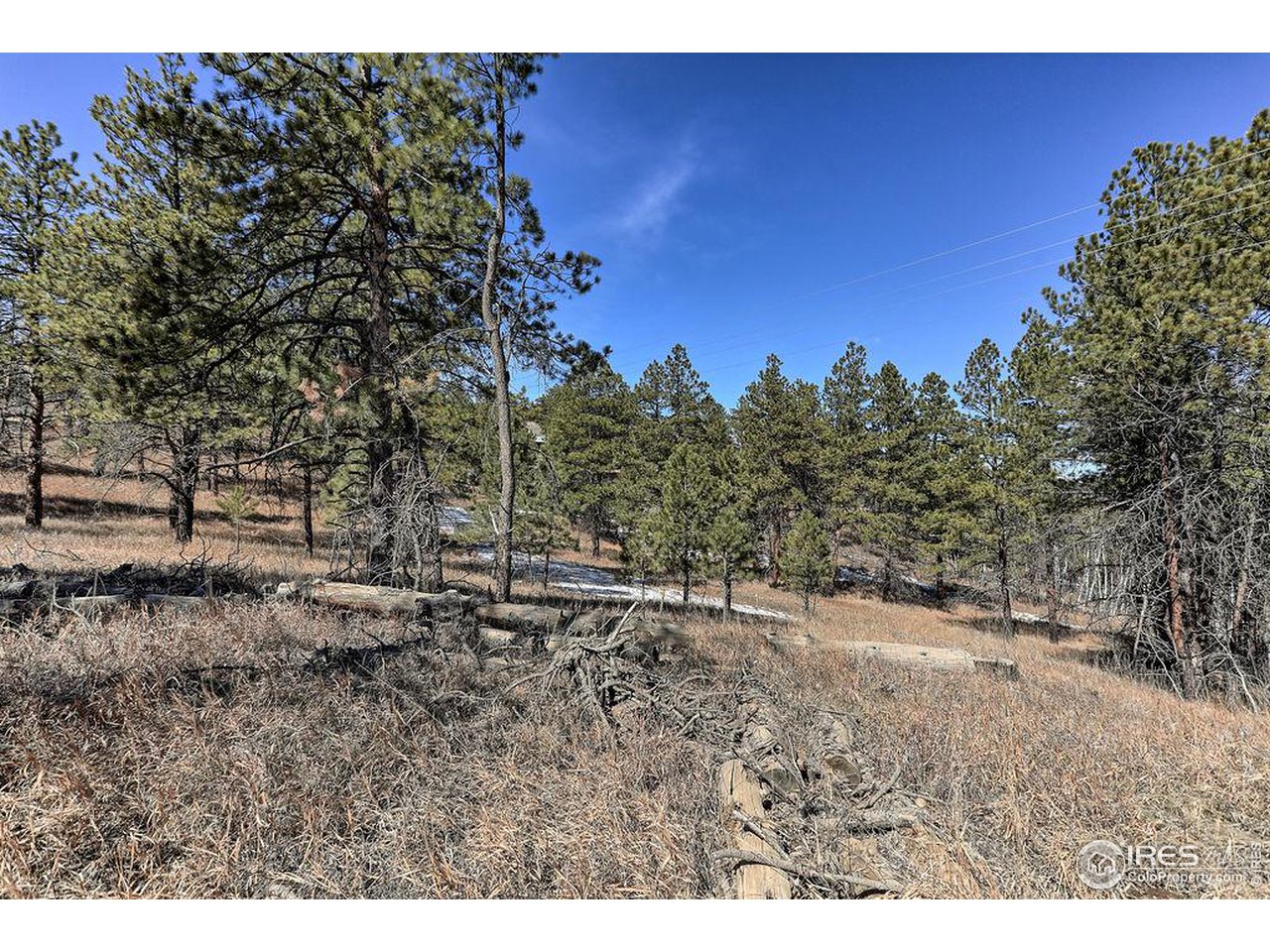 1033 Davis Ranch Road Bellvue, CO 80512 - Photo 19 of 25 Nestled in the foothills