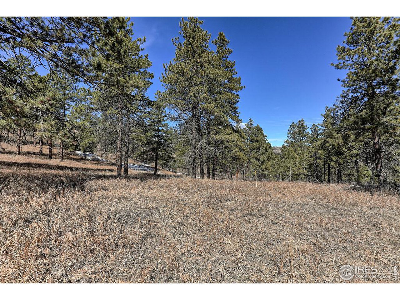1033 Davis Ranch Road Bellvue, CO 80512 - Photo 20 of 25 30 min drive to Whole Foods in FtC