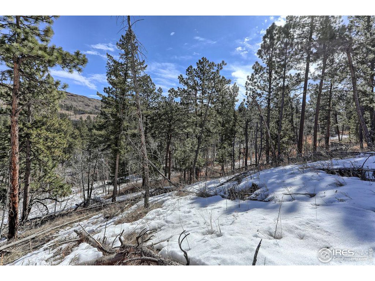 1033 Davis Ranch Road Bellvue, CO 80512 - Photo 2 of 25 Not very steep anywhere on the property