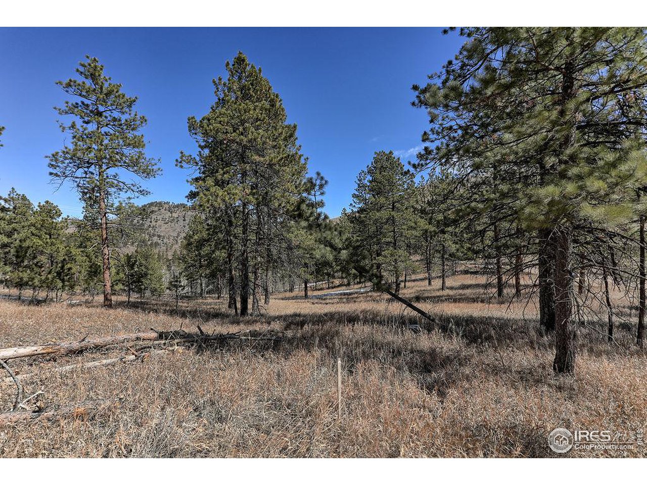 1033 Davis Ranch Road Bellvue, CO 80512 - Photo 21 of 25 Property boundary on West side