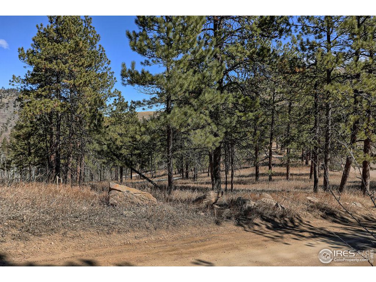 1033 Davis Ranch Road Bellvue, CO 80512 - Photo 22 of 25 Property boundary on West side (from road)