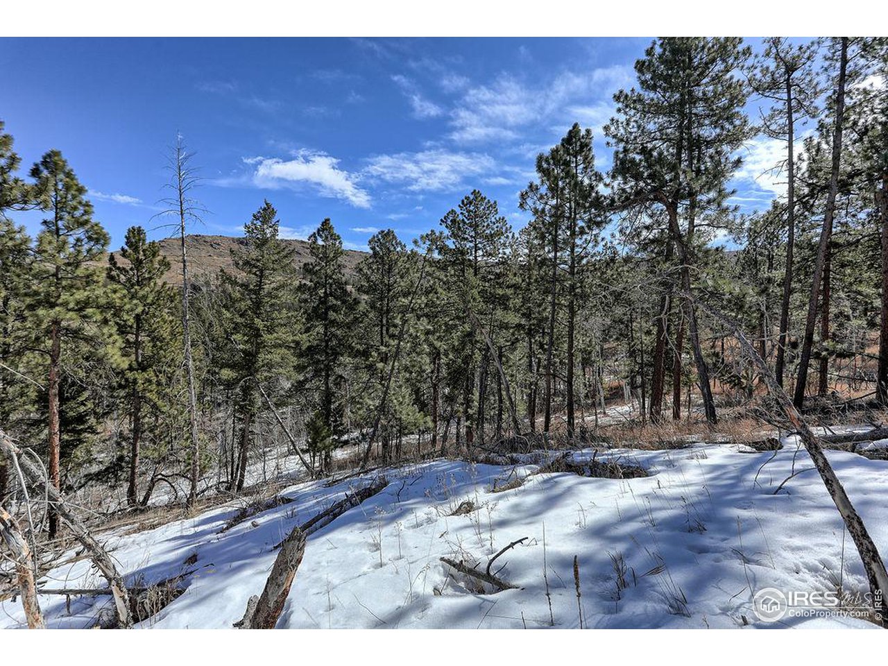 1033 Davis Ranch Road Bellvue, CO 80512 - Photo 3 of 25 From the West side of the lot