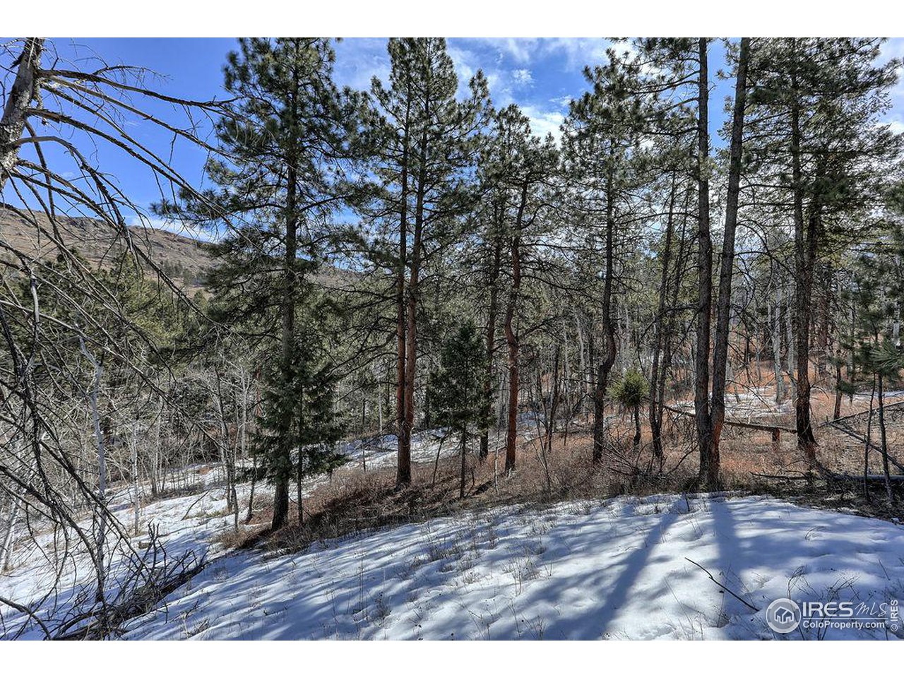 1033 Davis Ranch Road Bellvue, CO 80512 - Photo 4 of 25 Rolling terrain