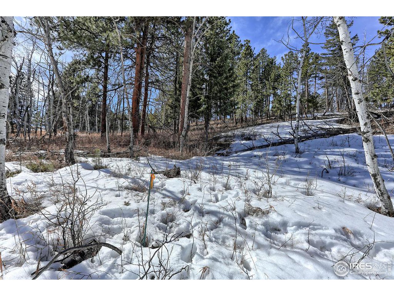 1033 Davis Ranch Road Bellvue, CO 80512 - Photo 6 of 25 Clearly marked