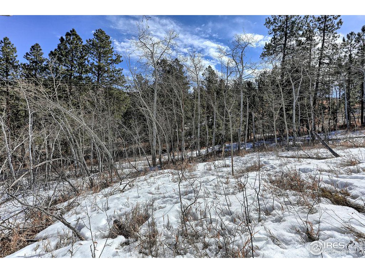 1033 Davis Ranch Road Bellvue, CO 80512 - Photo 7 of 25 Power available