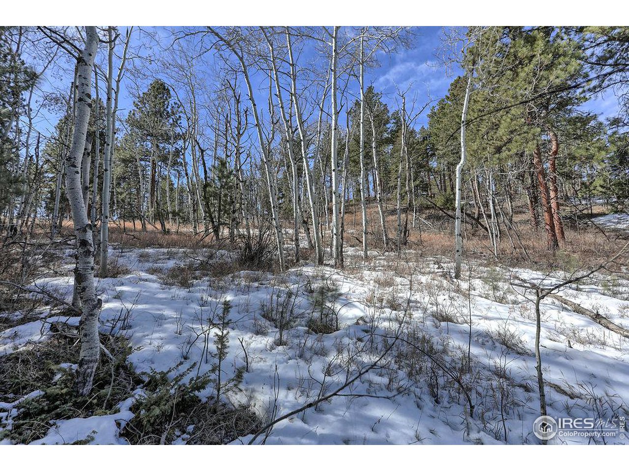 1033 Davis Ranch Road Bellvue, CO 80512 - Photo 8 of 25 From the East side of the property