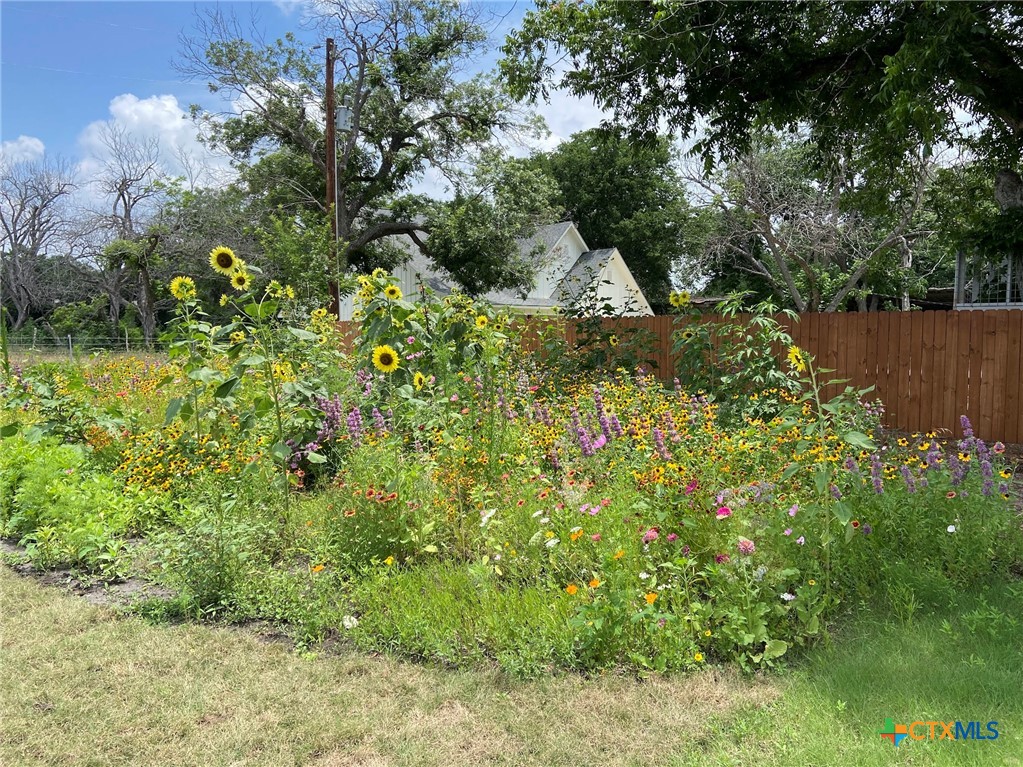 162 Friedens Church Road Seguin, TX 78155 - Photo 22 of 33 a view of a garden with a tree