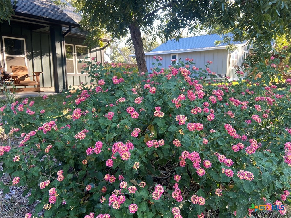 162 Friedens Church Road Seguin, TX 78155 - Photo 3 of 33 a view of a flower in a yard