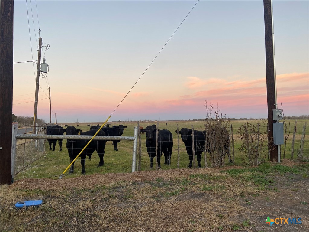 162 Friedens Church Road Seguin, TX 78155 - Photo 33 of 33 a view of a outdoor kitchen