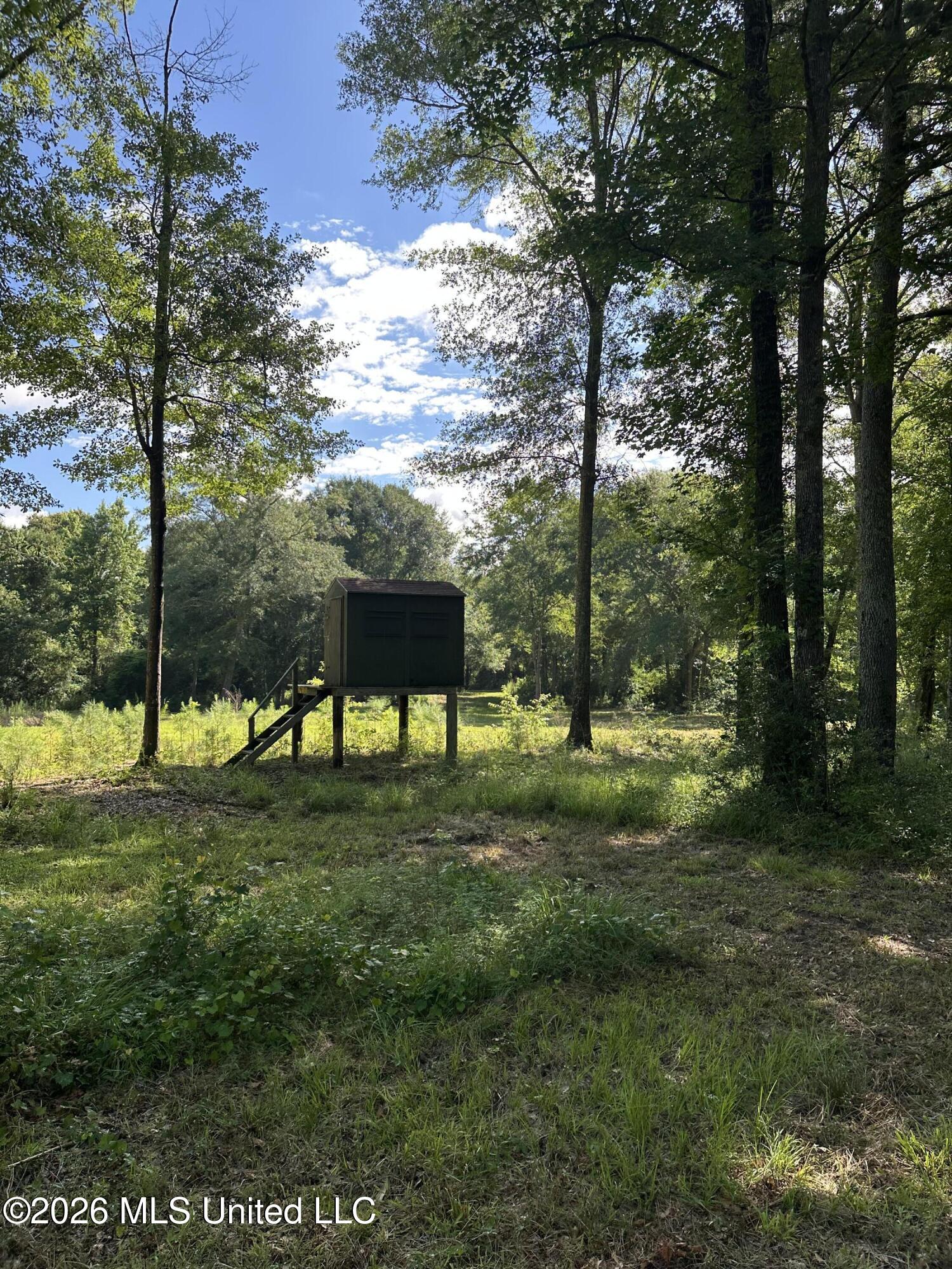 135 Joe Booth Road Taylorsville, MS 39168 - Photo 10 of 22 IMG_5279