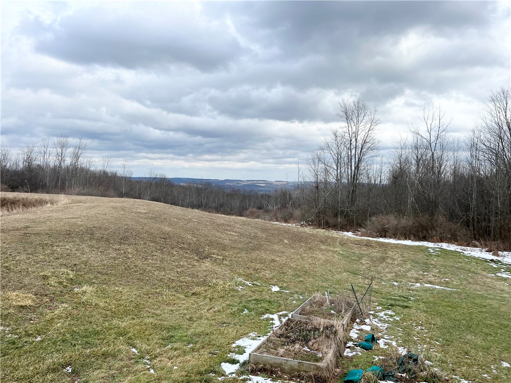 8970 Cook Road Arkport, NY 14807 - Photo 23 of 32