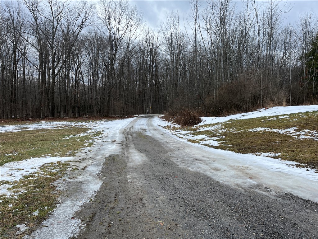 8970 Cook Road Arkport, NY 14807 - Photo 3 of 32