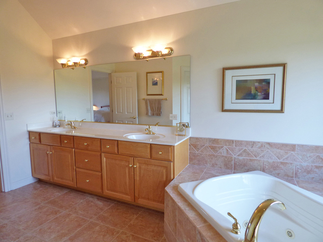 S130 Forbes Drive Geneva, IL 60134 - Photo 26 of 45 a bathroom with a tub a double vanity sink and a mirror