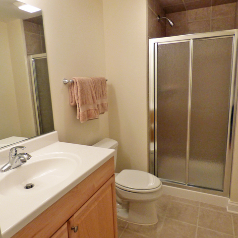 S130 Forbes Drive Geneva, IL 60134 - Photo 37 of 45 a bathroom with a sink a toilet and shower