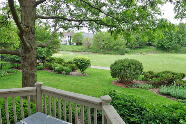 S130 Forbes Drive Geneva, IL 60134 - Photo 42 of 45 a view of a backyard with large trees