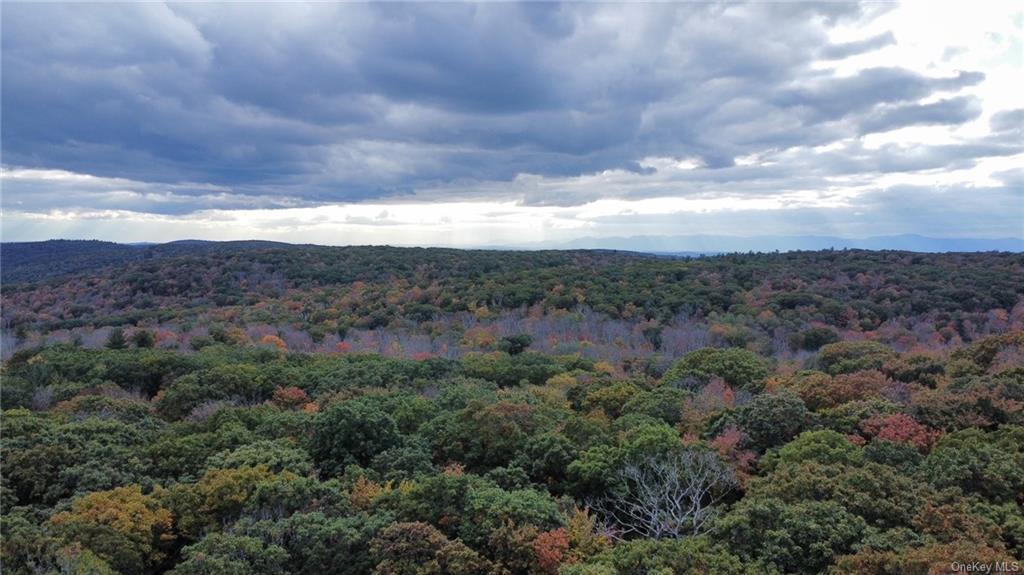 2 Hill Road Austerlitz, NY 12017 - Photo 12 of 15