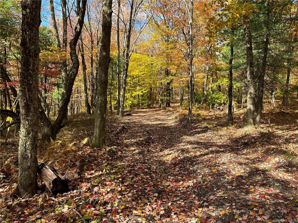 2 Hill Road Austerlitz, NY 12017 - Photo 5 of 15