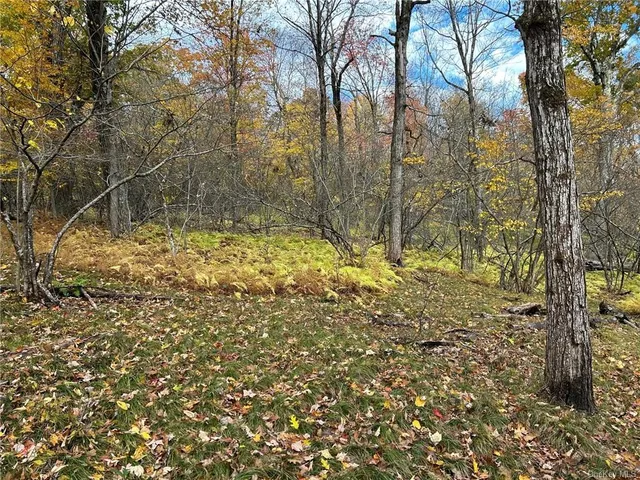 $1,999,999 | 2 Hill Road, Austerlitz, NY 12017