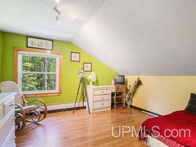 509 Dukes Road Skandia, MI 49885 - Photo 24 of 63
